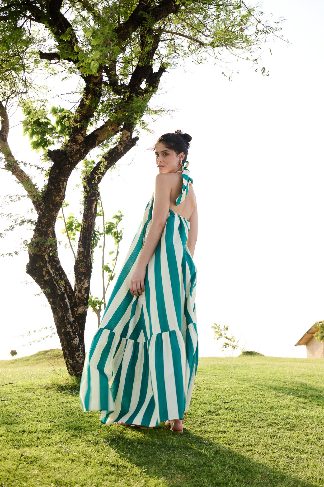 Birds of Paradise Dress – Raaslife