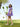 Layla Dress
